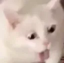 EW