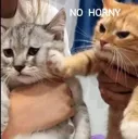 nohorny