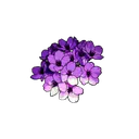 Purpleflowers Discord Emoji