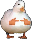 shyduck