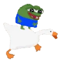 DankDuck DankDuck