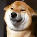 shibo