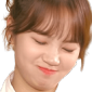 chaewonregret Discord emoji