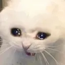 Crii Crii