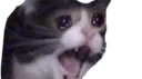 YAMERO