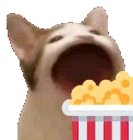:bopcorn: