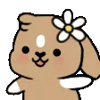 hasidance