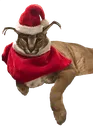 ChristmasFloppa