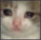 Depression