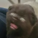 boo