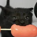 Hungiez