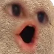pogtato