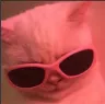 ysp_catswag ysp_catswag