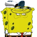 sponge sponge