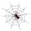 f_spiderweb