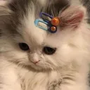 latte_sad
