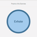 practice_dis