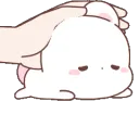 bunnypatrelax