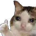 thumbsupcatto