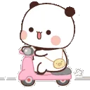 JG_pandascooty