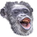 monkepog