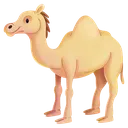 Camel