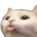 k_cat_blep Discord Emoji