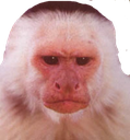 LcoComoJodesPibe Discord emoji