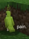 pain pain