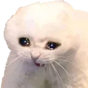 catcry2 catcry2