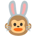 Rabbit_Monkey