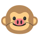 Pig_Monkey