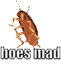 HOESMAD