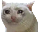 Cryingcat cryingcat Discord Emoji