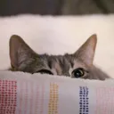 smolpeek