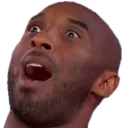 scCheeseAmazed