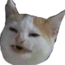 catcringe Discord emoji