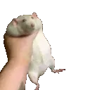 ratgrab