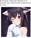 Catgirl Catgirl Discord Emoji