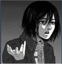 Mikasa