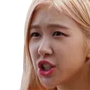 Rosechh Rosechh