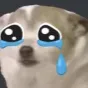 Dog Cry Discord Emoji