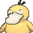 NotLikeDucky