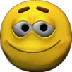 intjyes