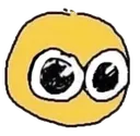 Z_stare
