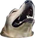 Blazekek