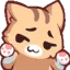 catshrug catshrug