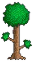 Terraria
