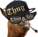 Thug_life