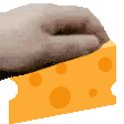 PetQuesito